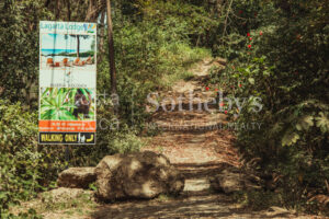 A-36-A Walking Distance to Pelada and the Boca