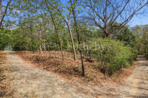 El Golfo Walk Lot