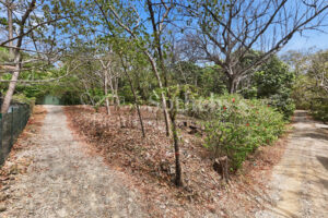El Golfo Walk Lot