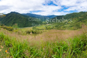 Tapantí Forest, Orosí