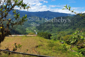 Tapantí Forest, Orosí