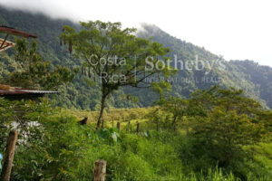 Tapantí Forest, Orosí