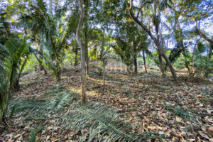 K 23 D Private Wooded Lot