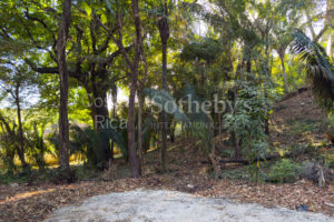 K 23 D Private Wooded Lot