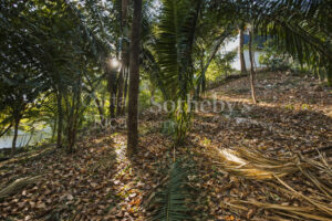 K 23 D Private Wooded Lot