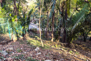 K 23 D Private Wooded Lot