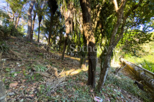 K 23 D Private Wooded Lot