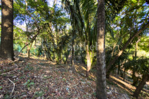 K 23 D Private Wooded Lot