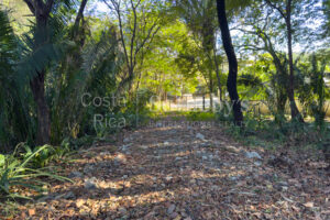 K 23 D Private Wooded Lot
