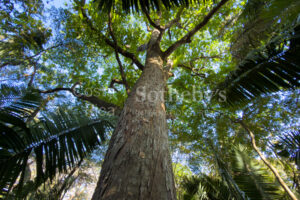 K 23 D Private Wooded Lot