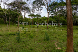 Agricultural Land with Predesign for 70 Parcels