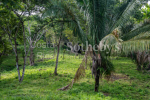 Agricultural Land with Predesign for 70 Parcels