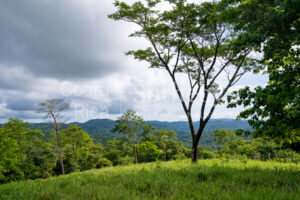 Agricultural Land with Predesign for 70 Parcels