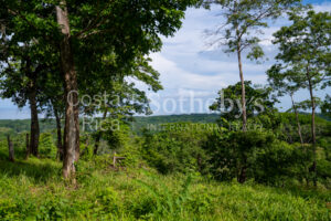 Agricultural Land with Predesign for 70 Parcels