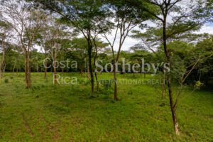 Agricultural Land with Predesign for 70 Parcels