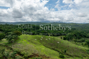 Agricultural Land with Predesign for 70 Parcels