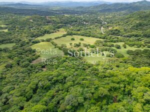 El Tigre Guanacasteco