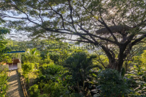 Ocean & Valley View Green Oasis