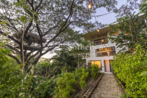 Ocean & Valley View Green Oasis