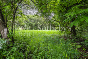 Prime Commercial Land with 121 Meters of Main Road Frontage