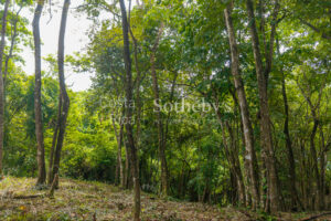 Cliffside Lot Stunning Oceanviews