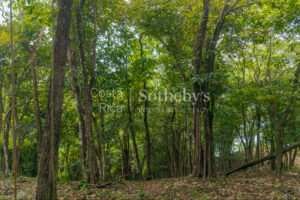 Cliffside Lot Stunning Oceanviews