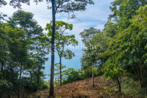 Cliffside Lot Stunning Oceanviews