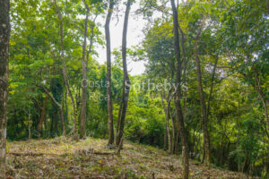 Cliffside Lot Stunning Oceanviews