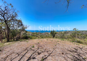 Finca Alucinante