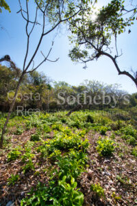 Finca Alucinante