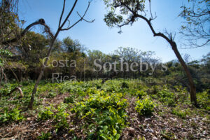 Finca Alucinante
