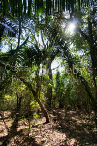 Finca Alucinante