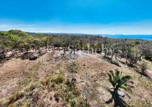 Finca Alucinante