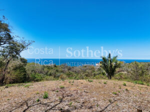 Finca Alucinante