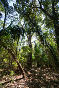 Finca Alucinante