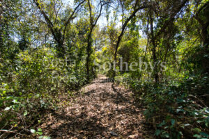 Finca Alucinante