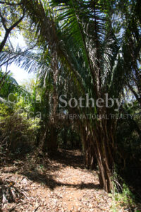 Finca Alucinante