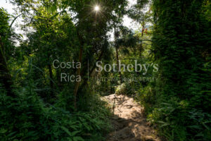 2500 Acre Conservation Land With Precious Woods