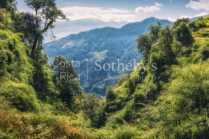 2500 Acre Conservation Land With Precious Woods
