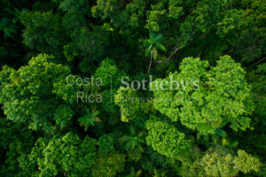 2500 Acre Conservation Land With Precious Woods