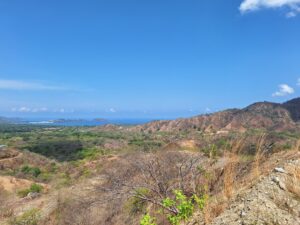 100ha+ development property behind Flamingo