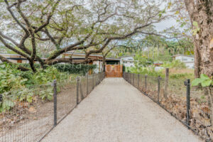 Boutique Luxury Villa Compound