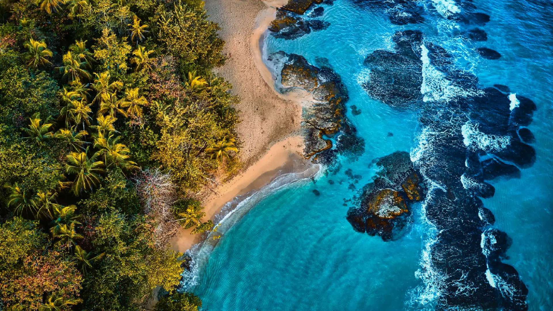 La Vida junto al Mar: Beneficios de Vivir cerca del Océano