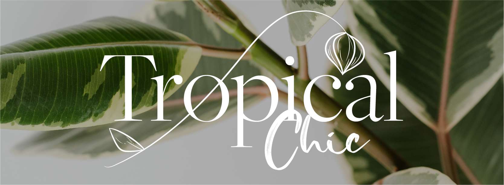 Tropical Chic: A Trend that Elevates Spaces