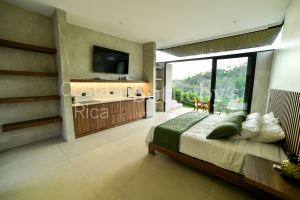 Panoramic Ocean & Mountain View Home