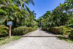 Condo Las Flores Camelia B