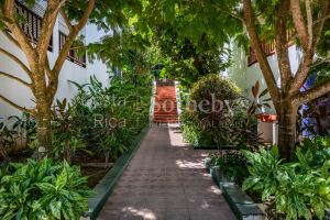 Condo Las Flores Camelia B