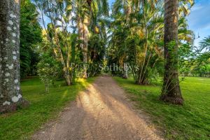 Casa Blanca: Lush and Peaceful Ocean Living