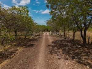 Finca la Prosperidad