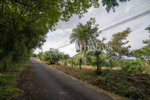 Atenas Homesite in Gated Community